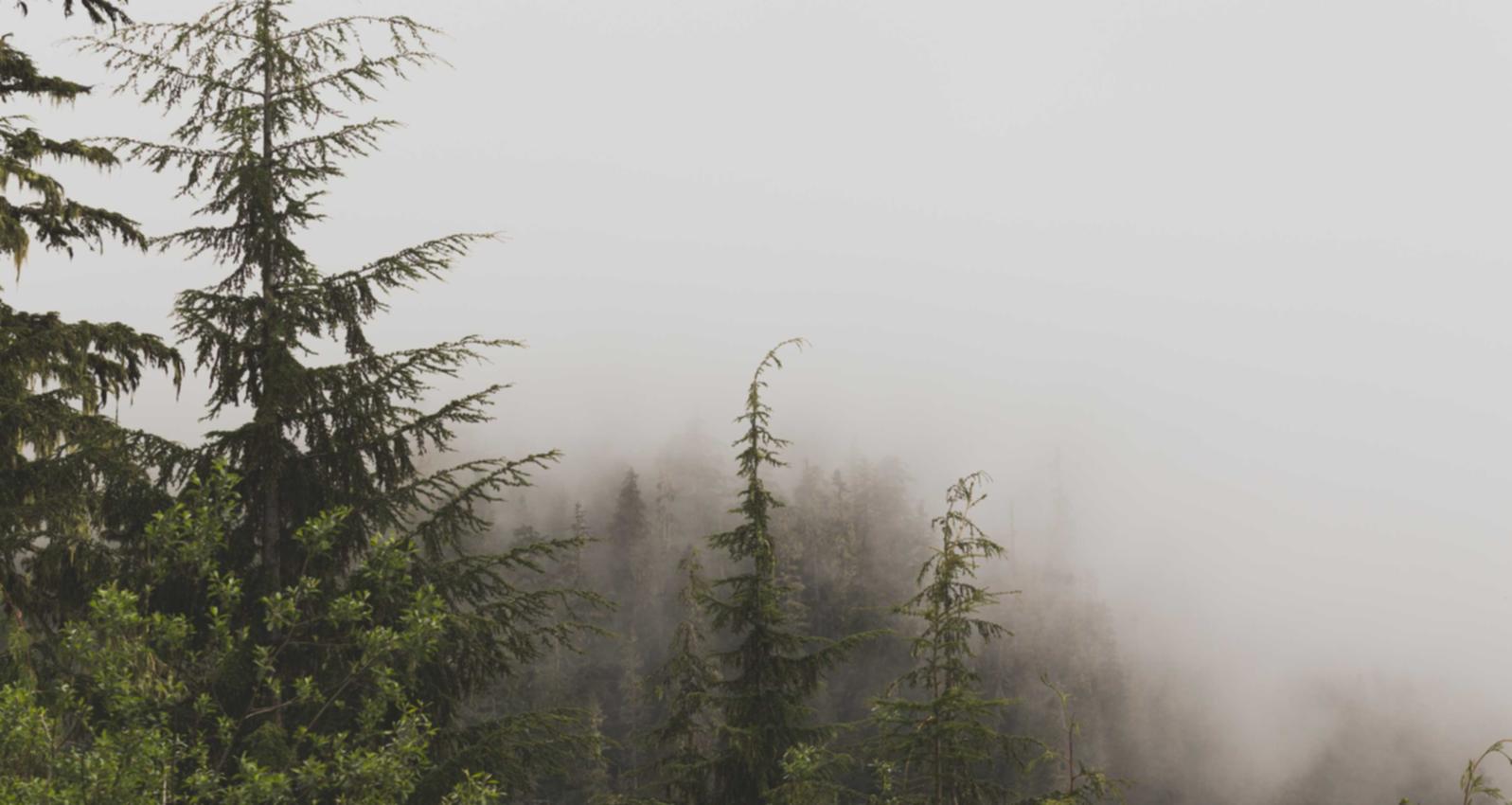 恒达详情下载教程本来生活app