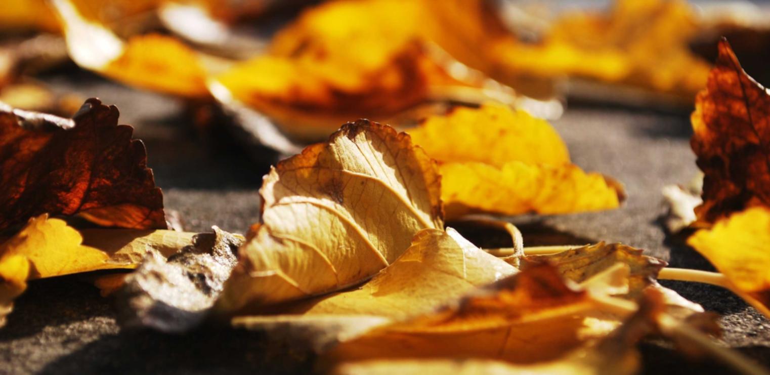 胶州代理公司注册财税