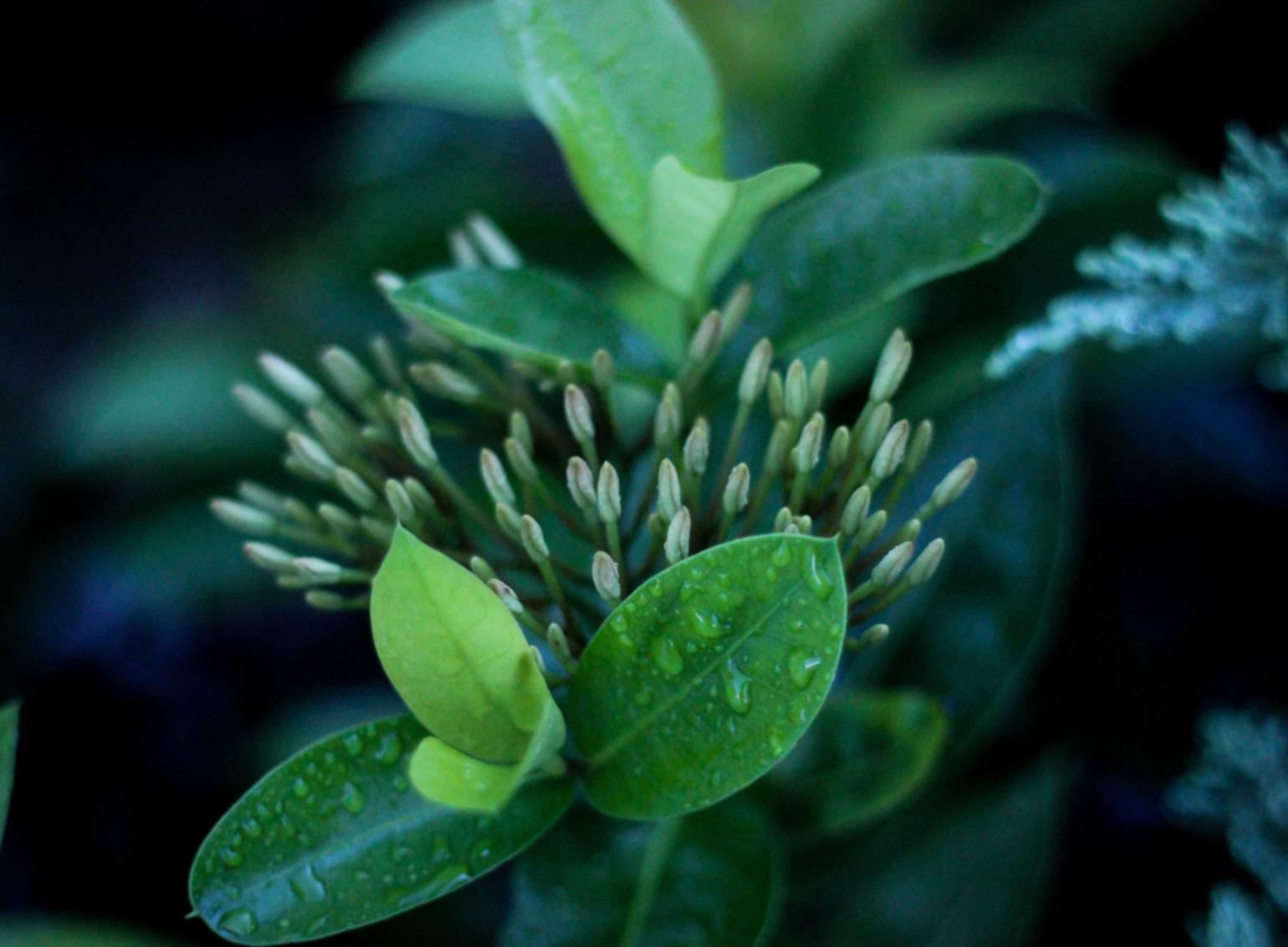 实名抖音号买卖:流量卡充值是否有活动促销或优惠券可供选择?