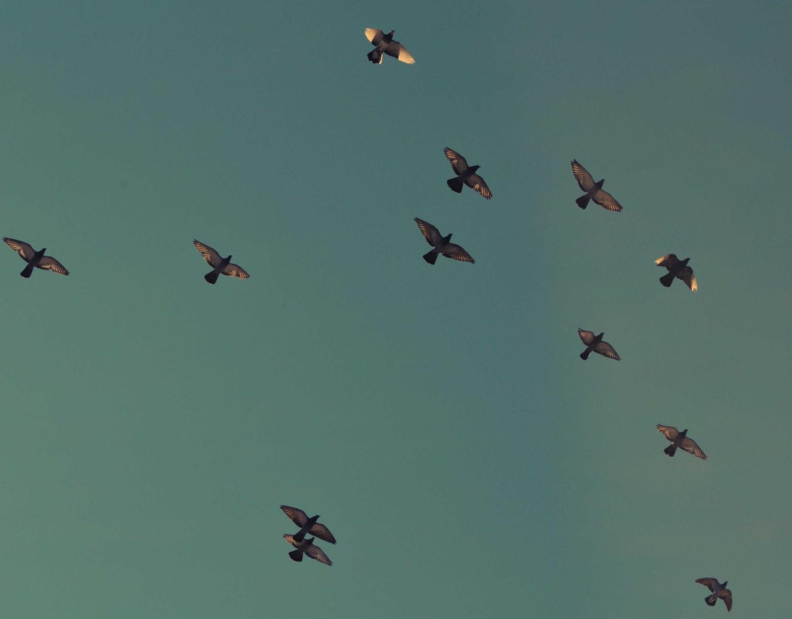 不同类型的香烟和其影响