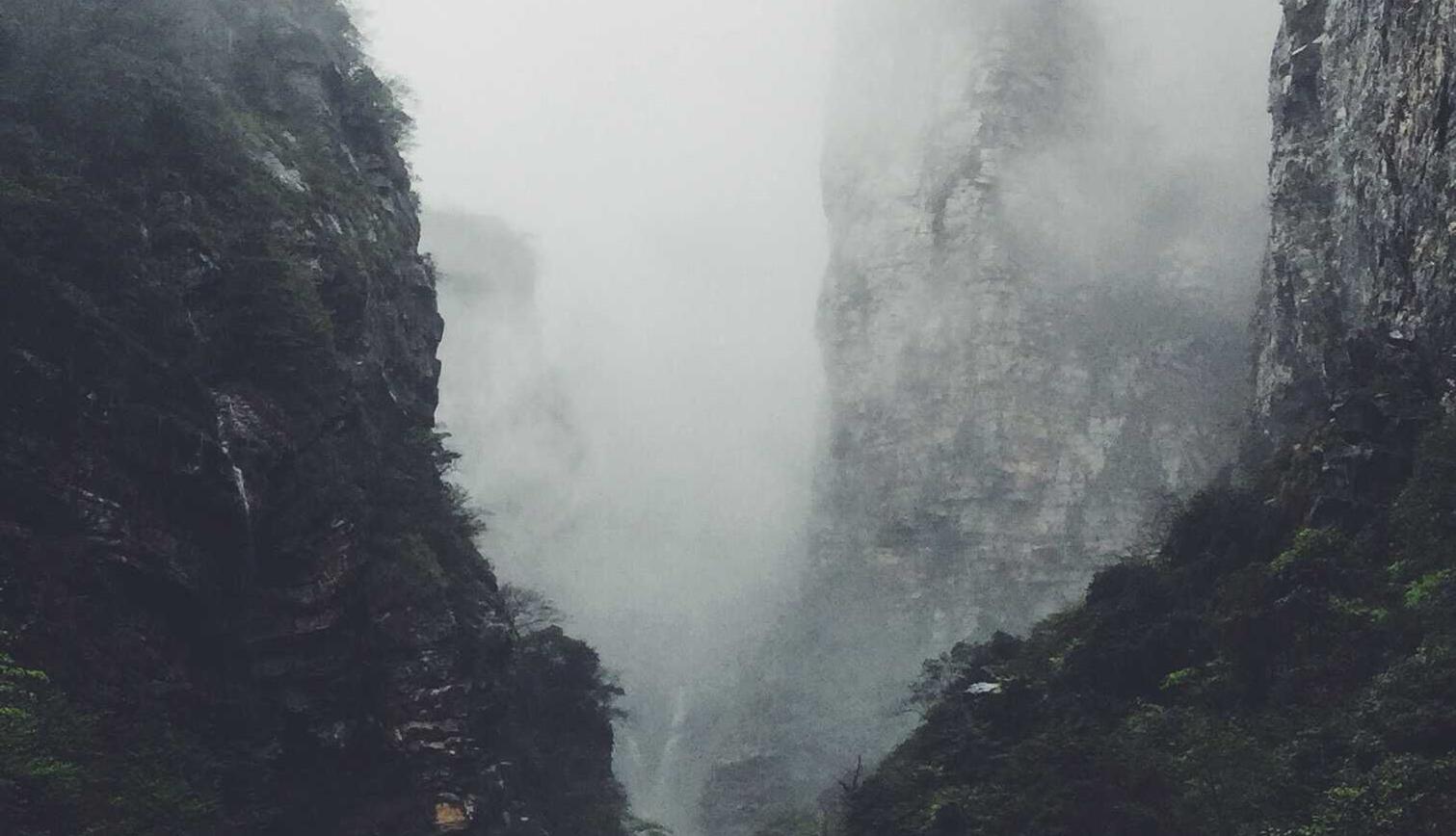 利用社会媒体：通过社会媒体，把产品和服务推向更广泛的受众。