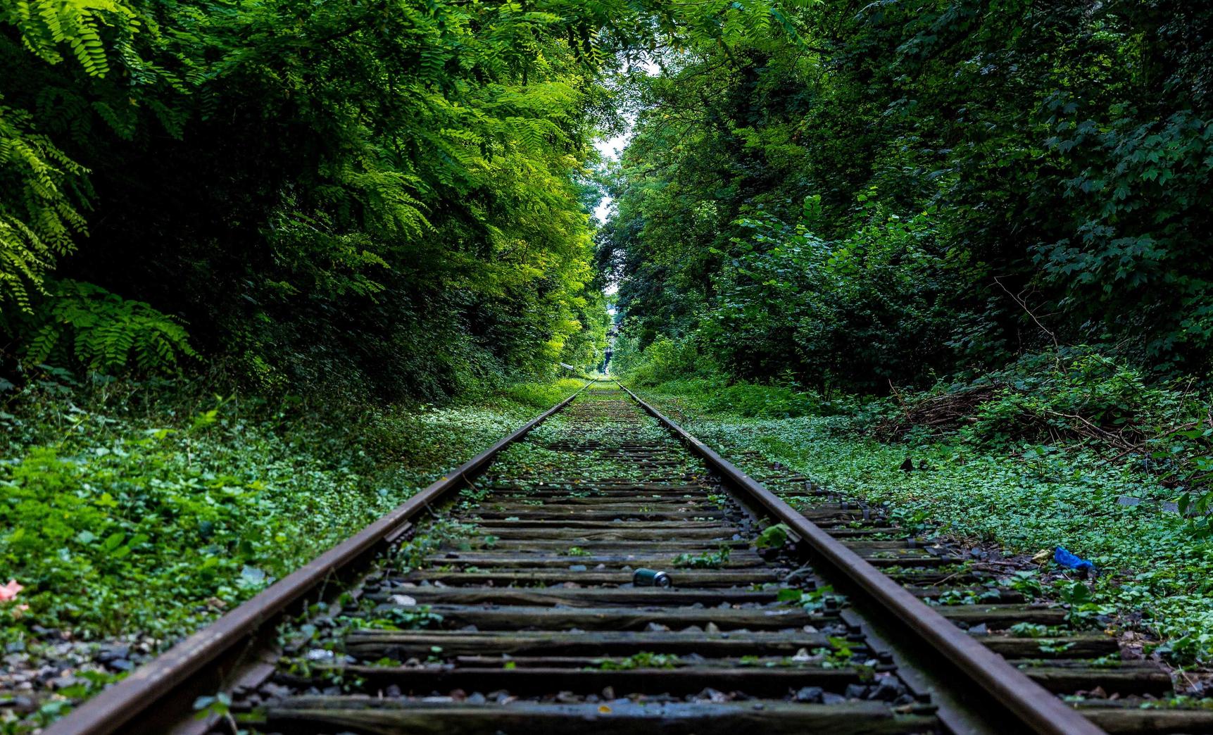 DDOS接单平台|海外机构注册代理企业