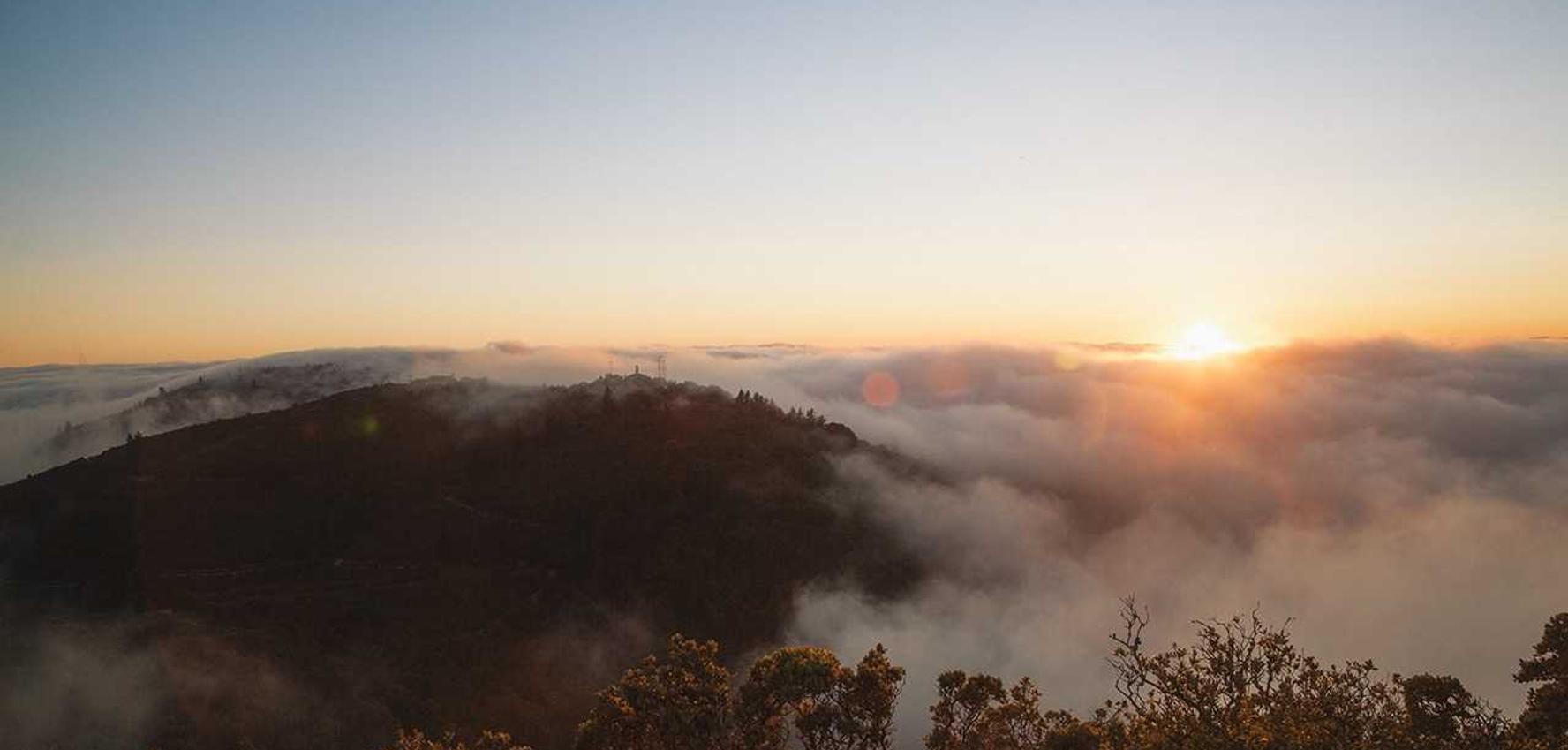 Peel百乐莫吉托爆珠:工商注册代理有关法律