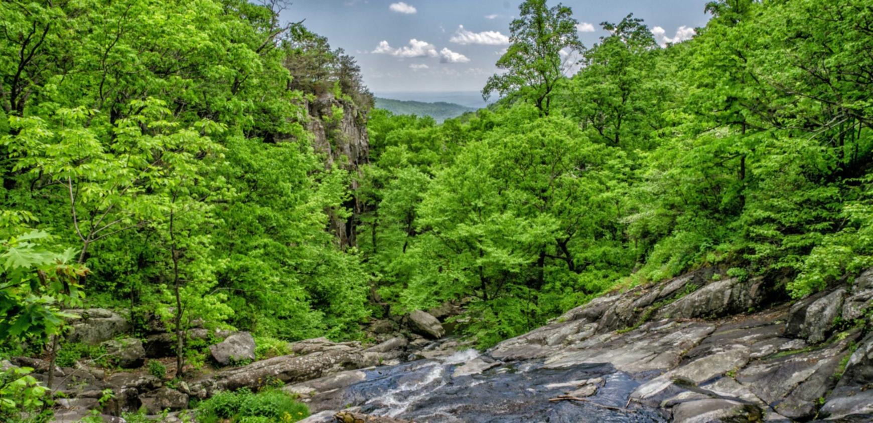 欧盟蓝登喜路:和平精英神盾科技购买平台