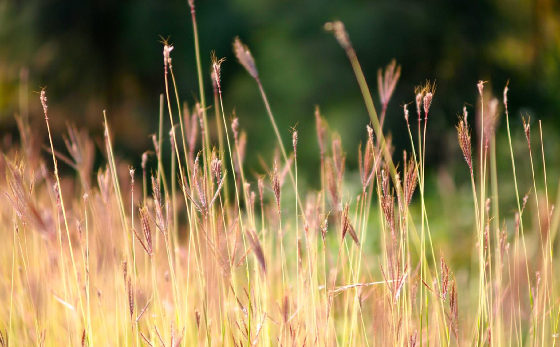 长江时代实名账号：蚌埠代理记账平台