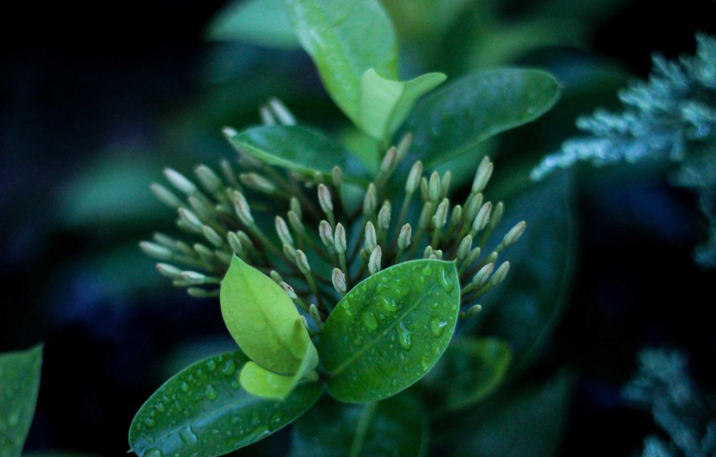 奥特曼系列OL：代理记账会计平台