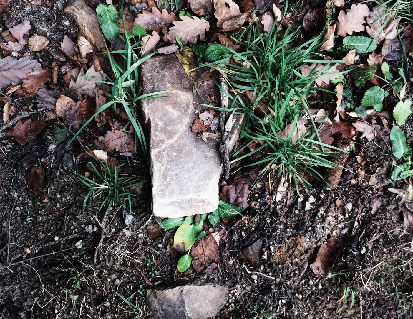 魔神英雄传:镀锌钢材购买平台