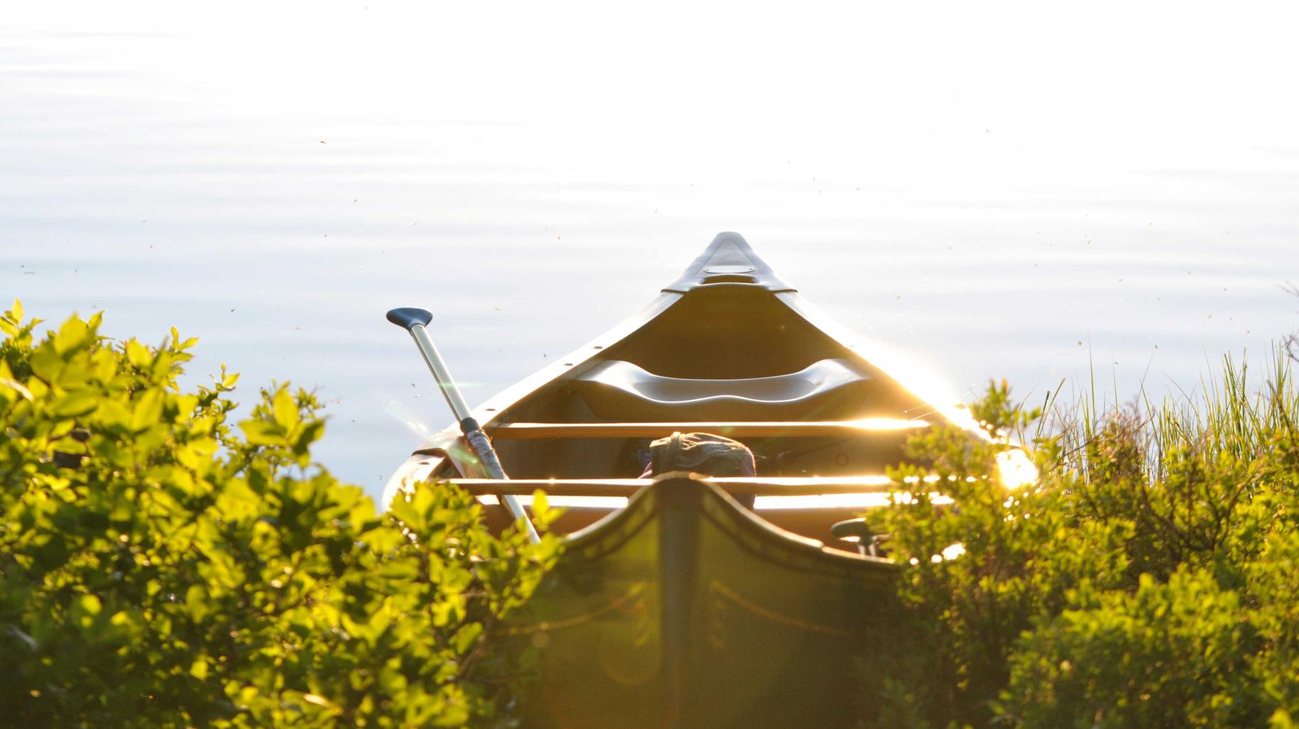 战胜服务器入侵威胁的四大关键技巧