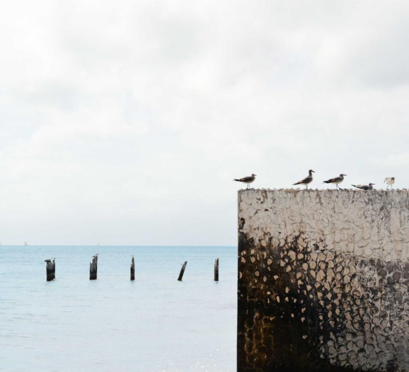 三网卡实名账号:虚拟货币线下开户平台