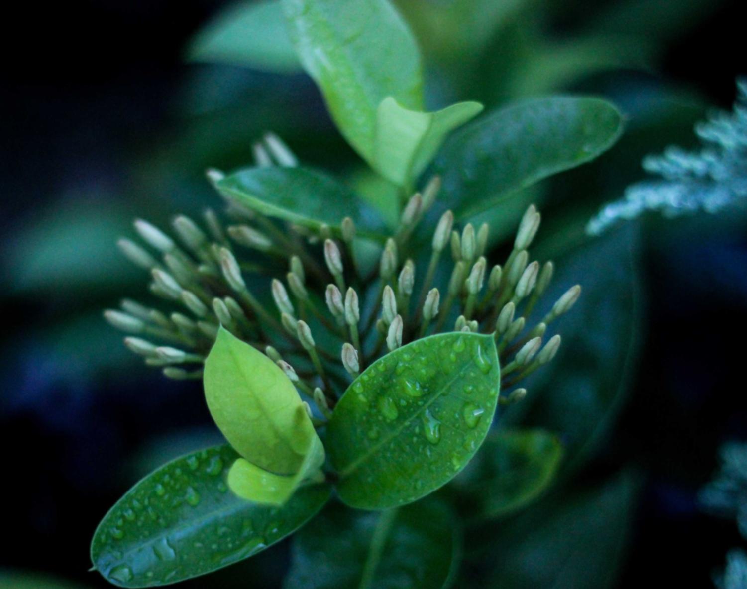 eSIM卡实名账号:磁县代理公司注册