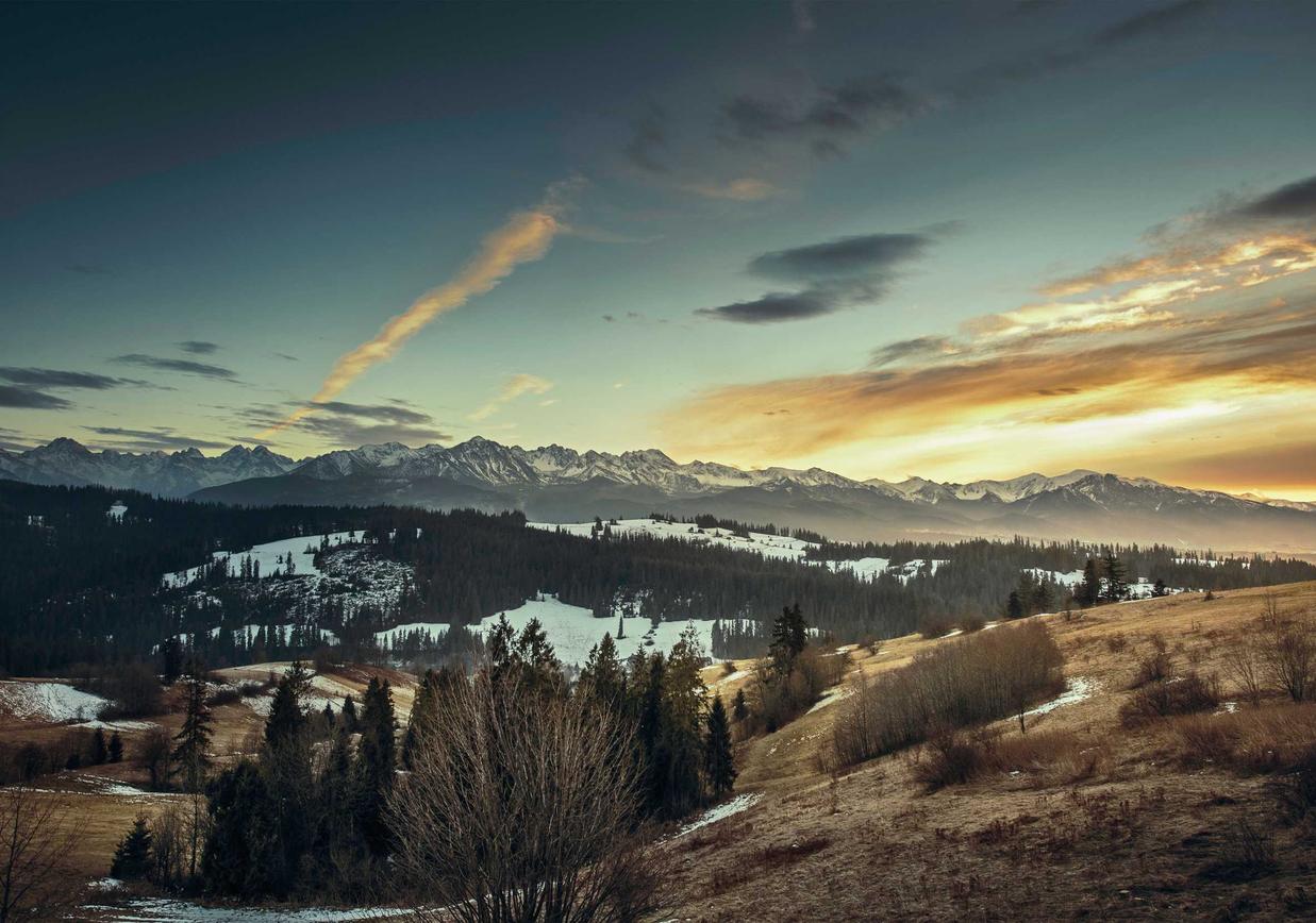 万宝路黑冰爆珠：淘宝自媒体如何注册账号