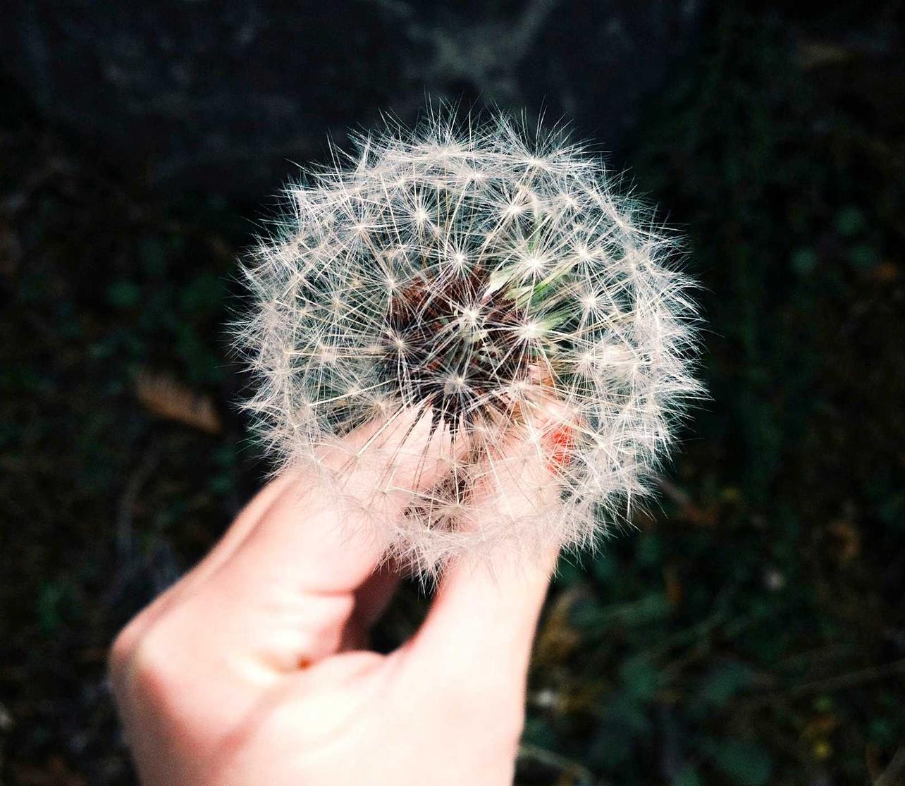 买卖微信号：视频会员代理提货平台