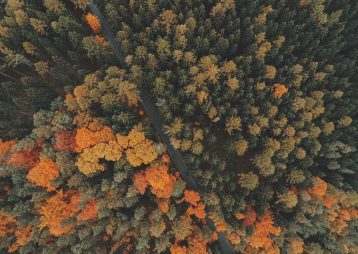 香烟和人类进化的关系