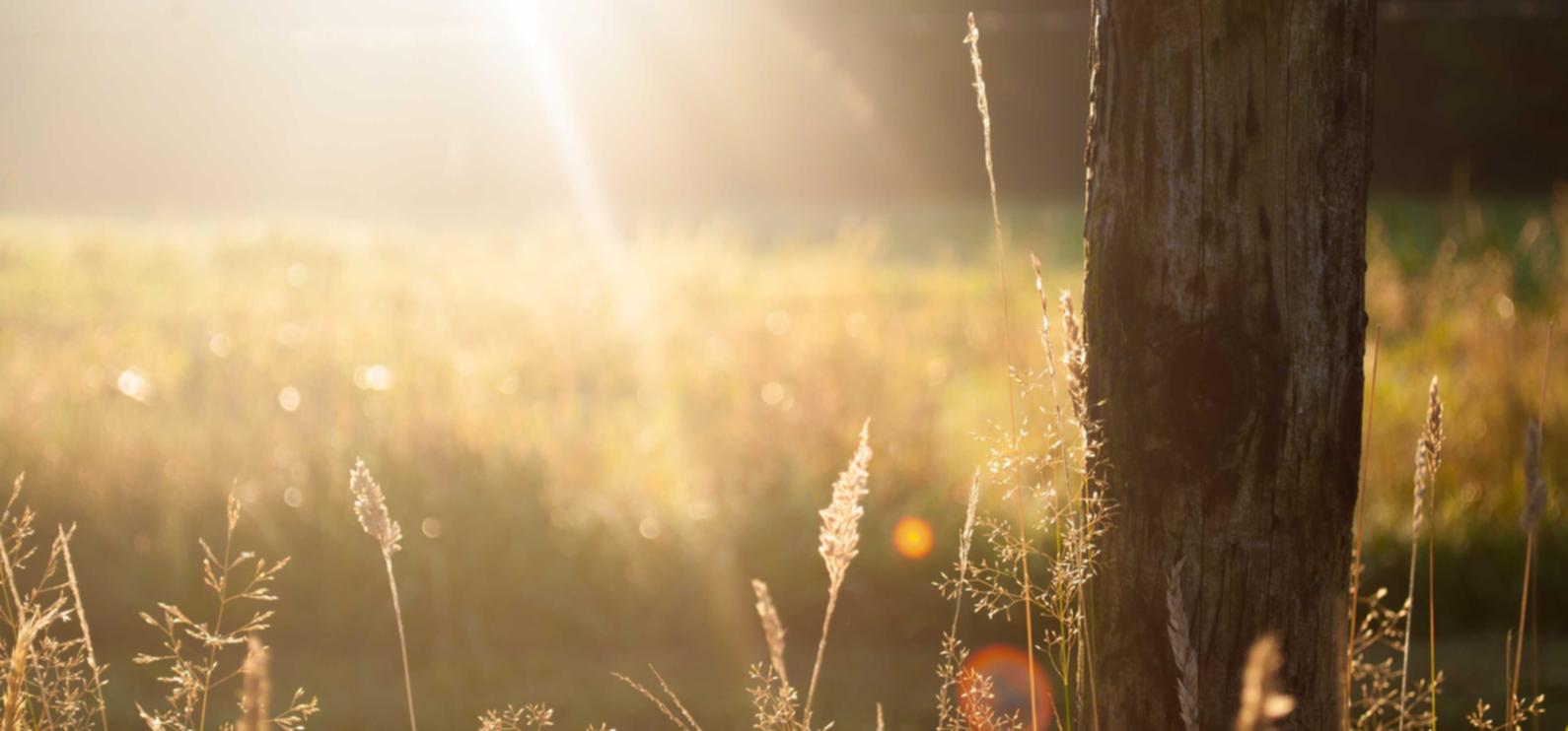 DDOS attack|项目公司注册代理