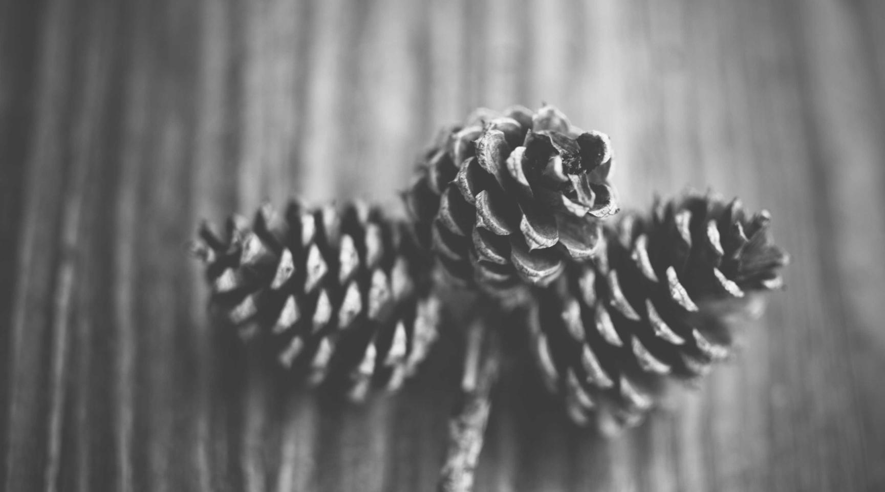 话机世界实名账号：流量卡封顶后是否可以继续使用？