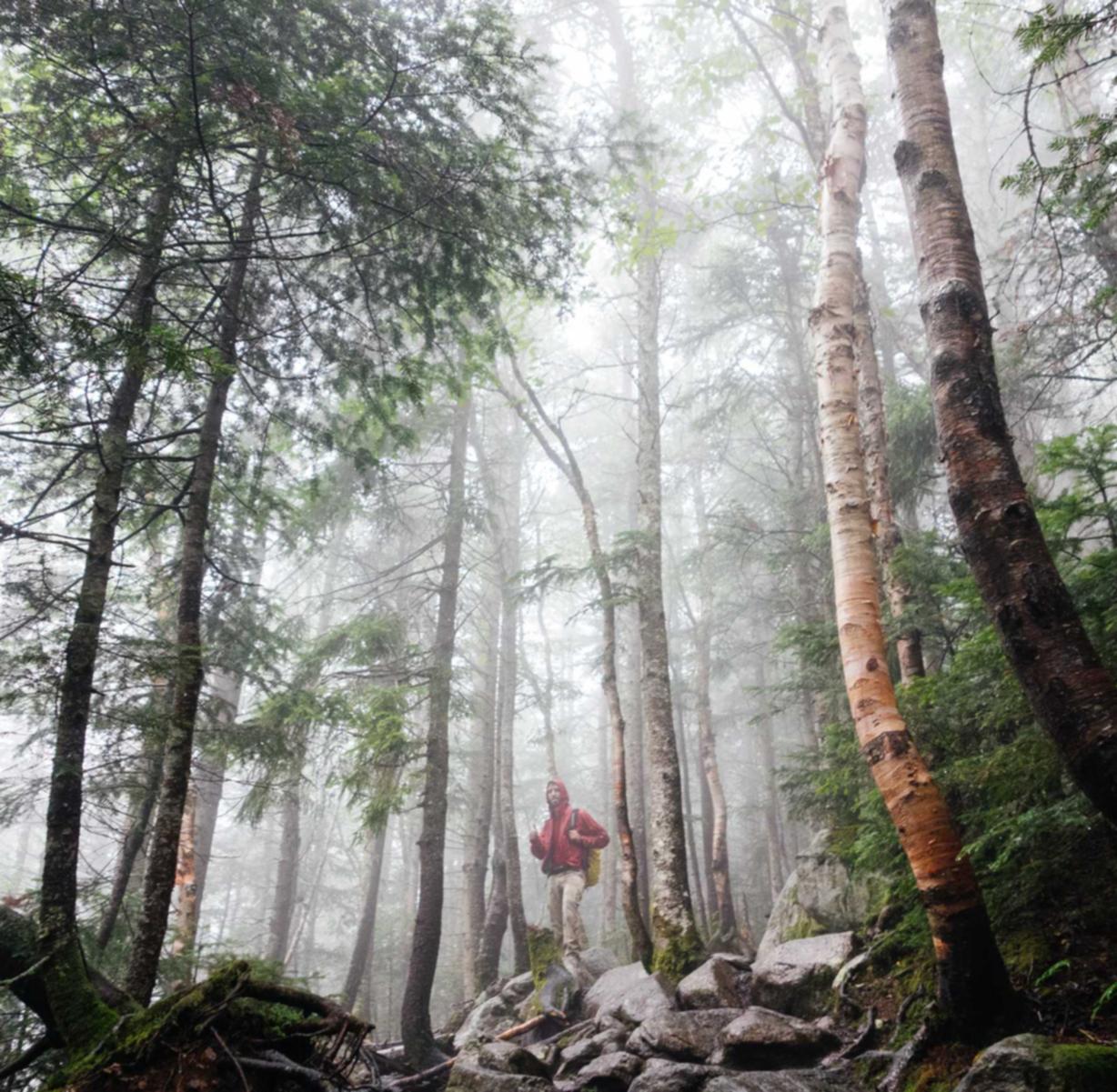 分享通信实名账号：实名制账号：数据安全和隐私权保护的突破口