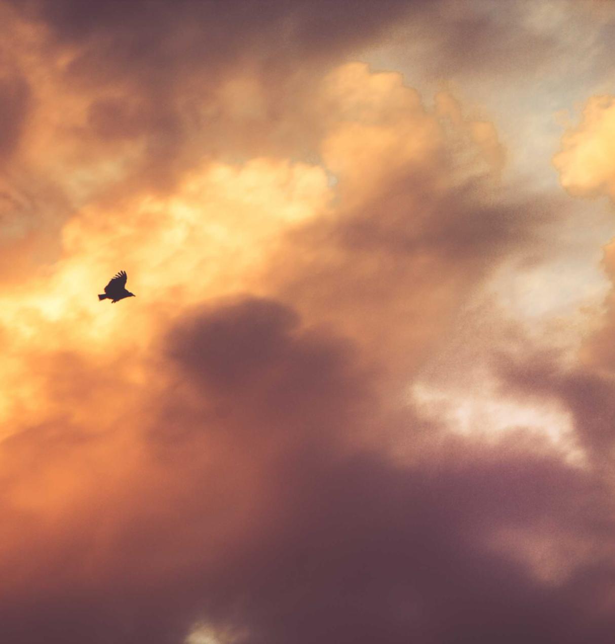 DDOS攻击器|头条手机注册自媒体账号