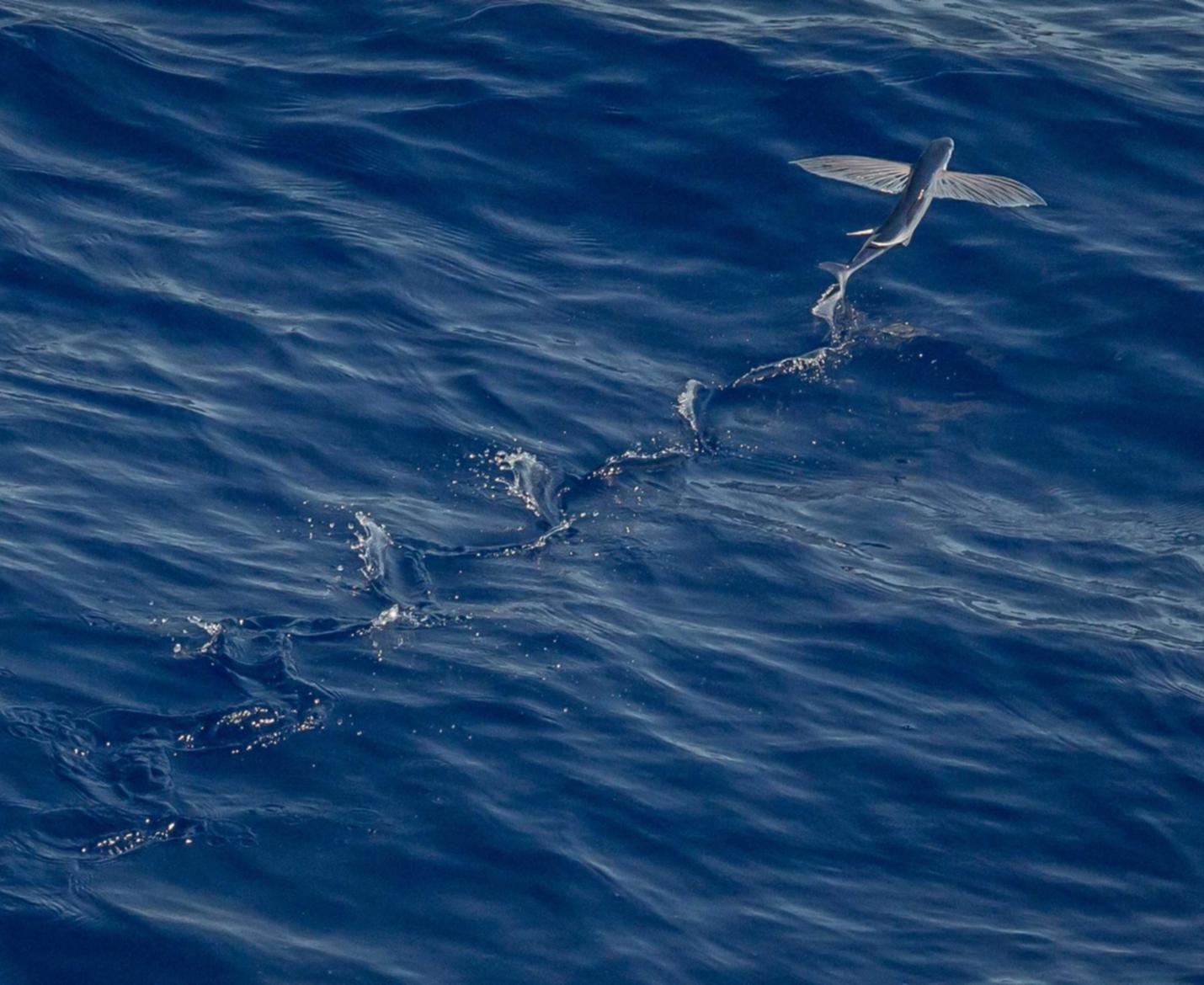 技术支持辅助是否意味着游戏的技能和努力已经不再是获胜的关键？ 