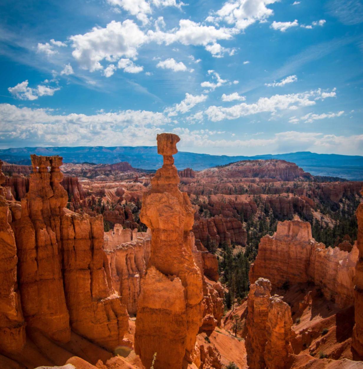 DDOS攻击教程|特典购买平台