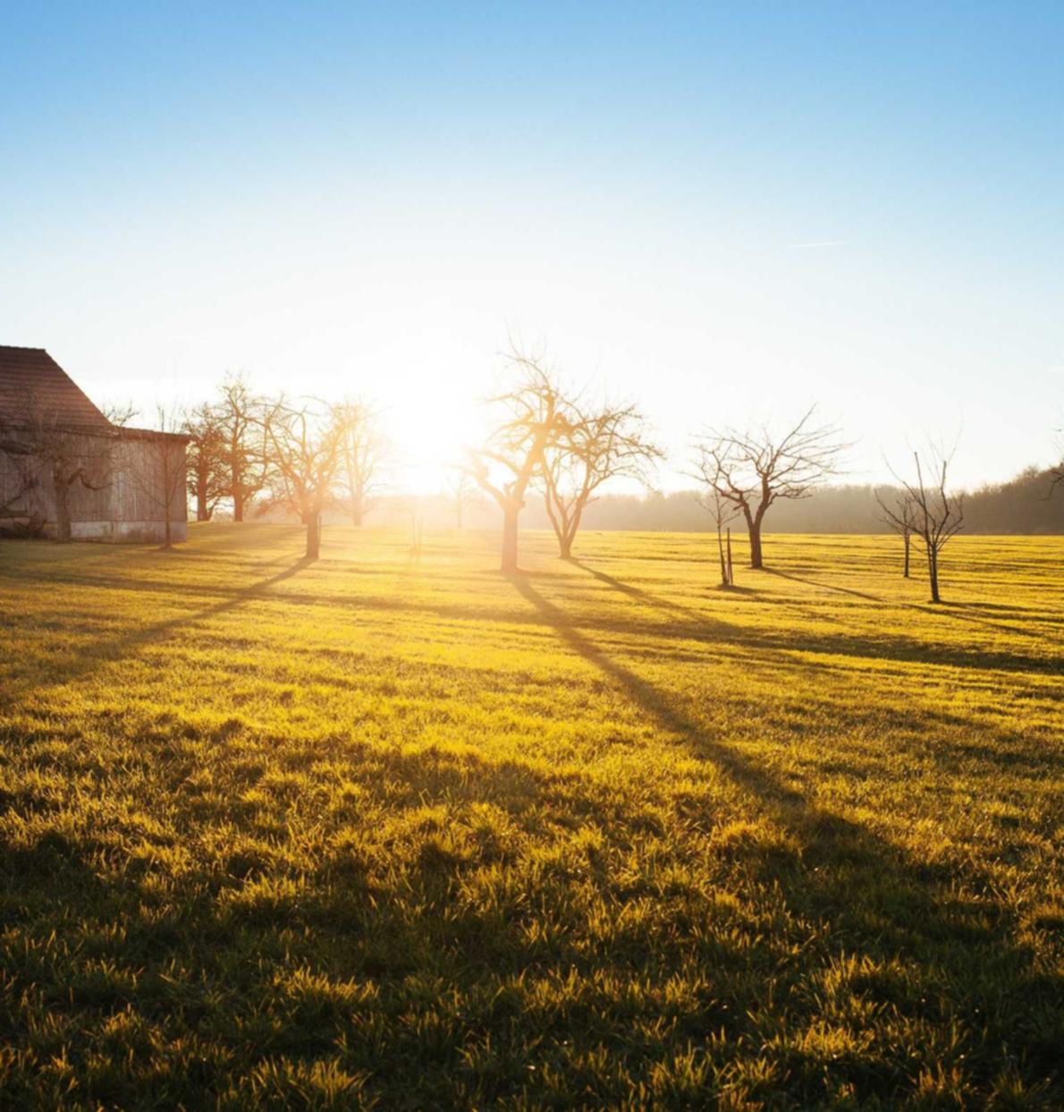 短信轰炸源码实名账号：利澳平台注册开户合法吗