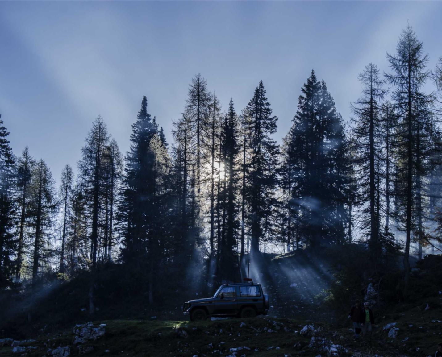 蝙蝠实名账号：app增量详情下载教程