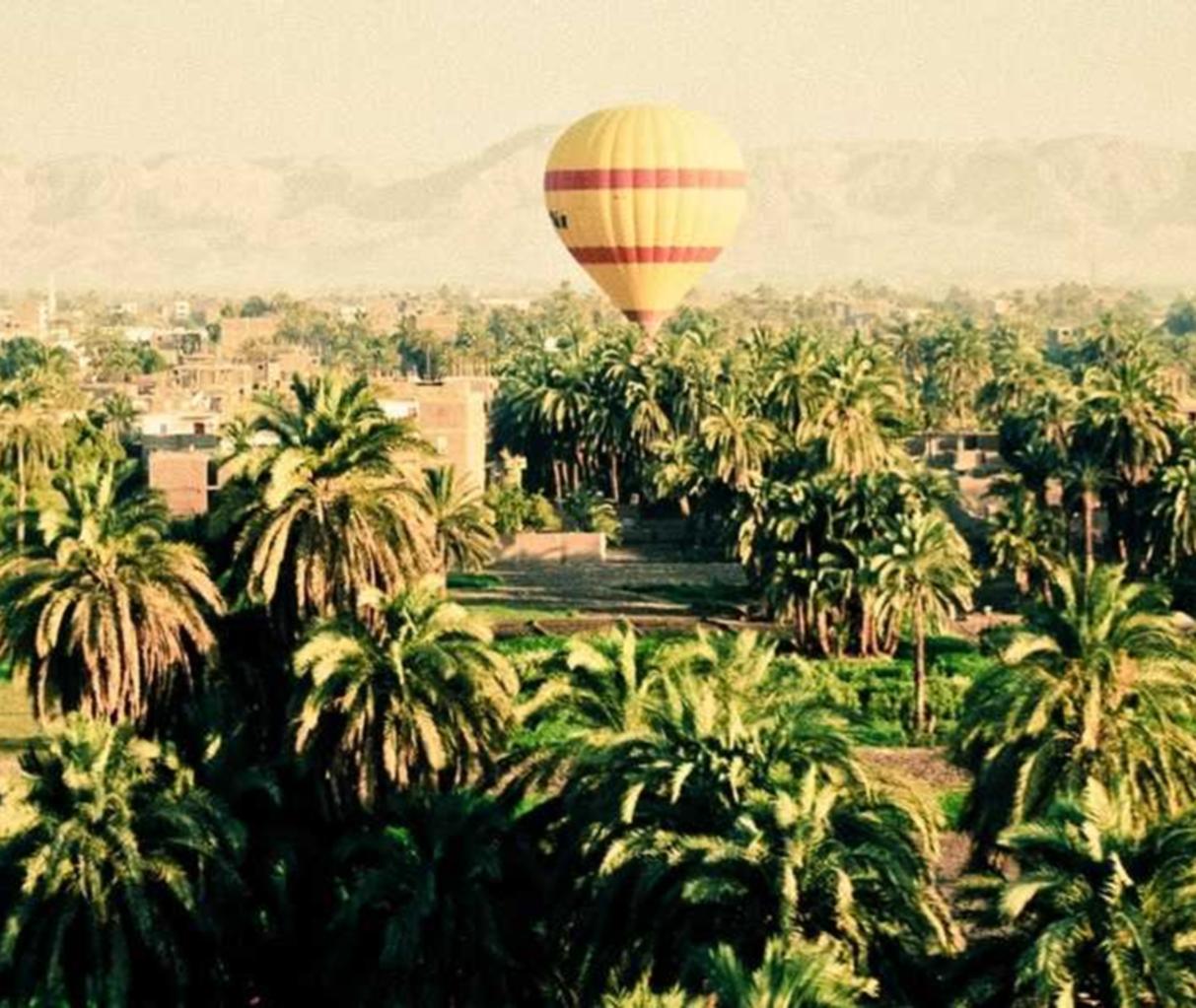 长亭科技实名账号:组装机购买平台