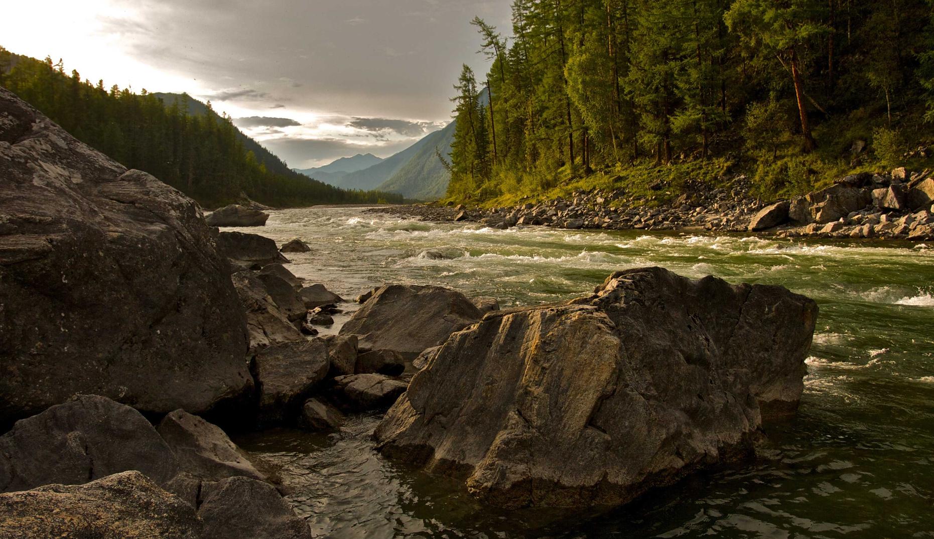 阿凡提香蕉:西宁书画平台哪个代理好