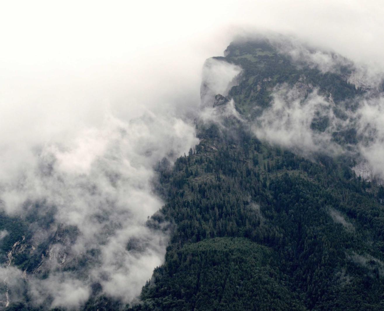 实名手机卡买卖:平台代理犯法