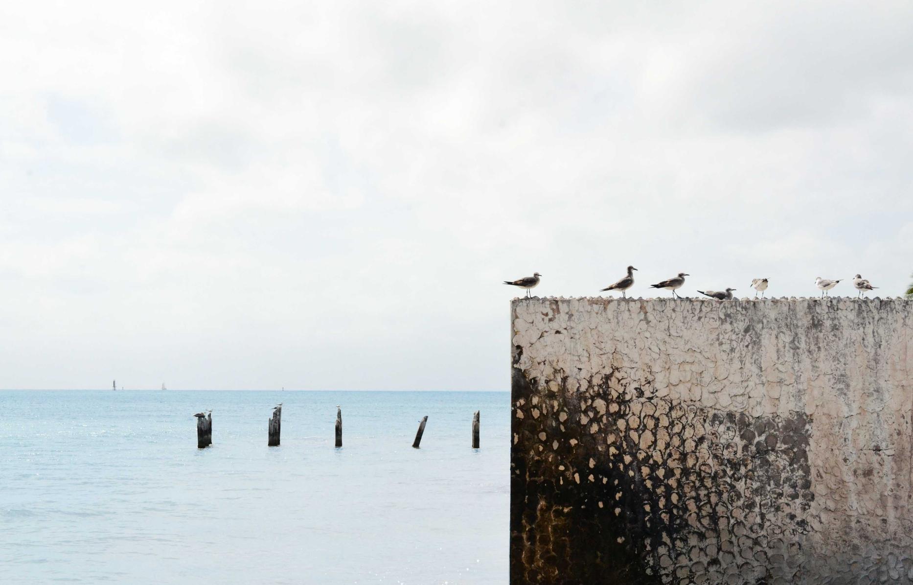 实名QQ号买卖：流量卡的带宽解释