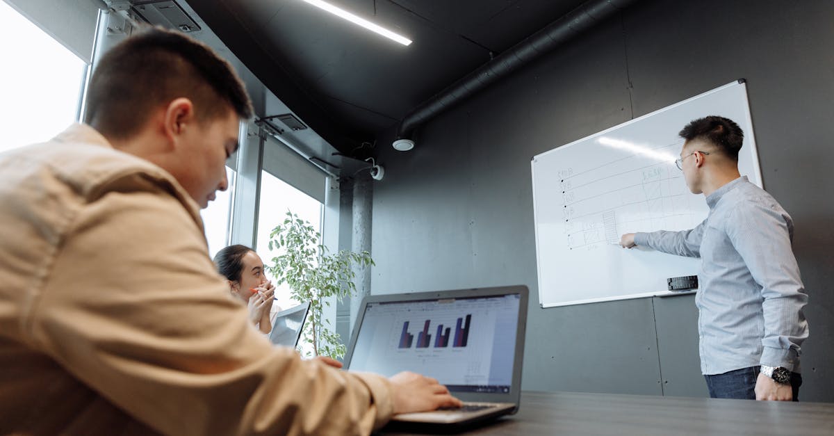 碧雪情天手游:幼犬购买正规平台