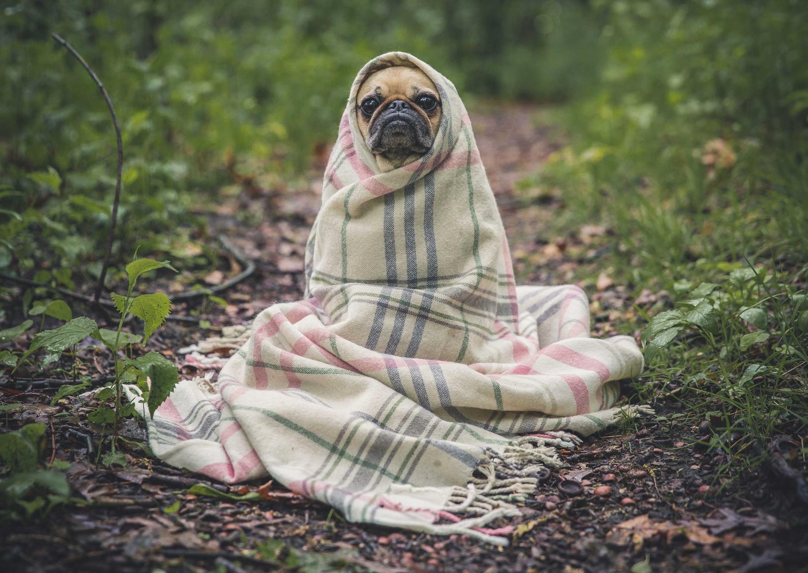 技术支持可以得到什么?失去什么?