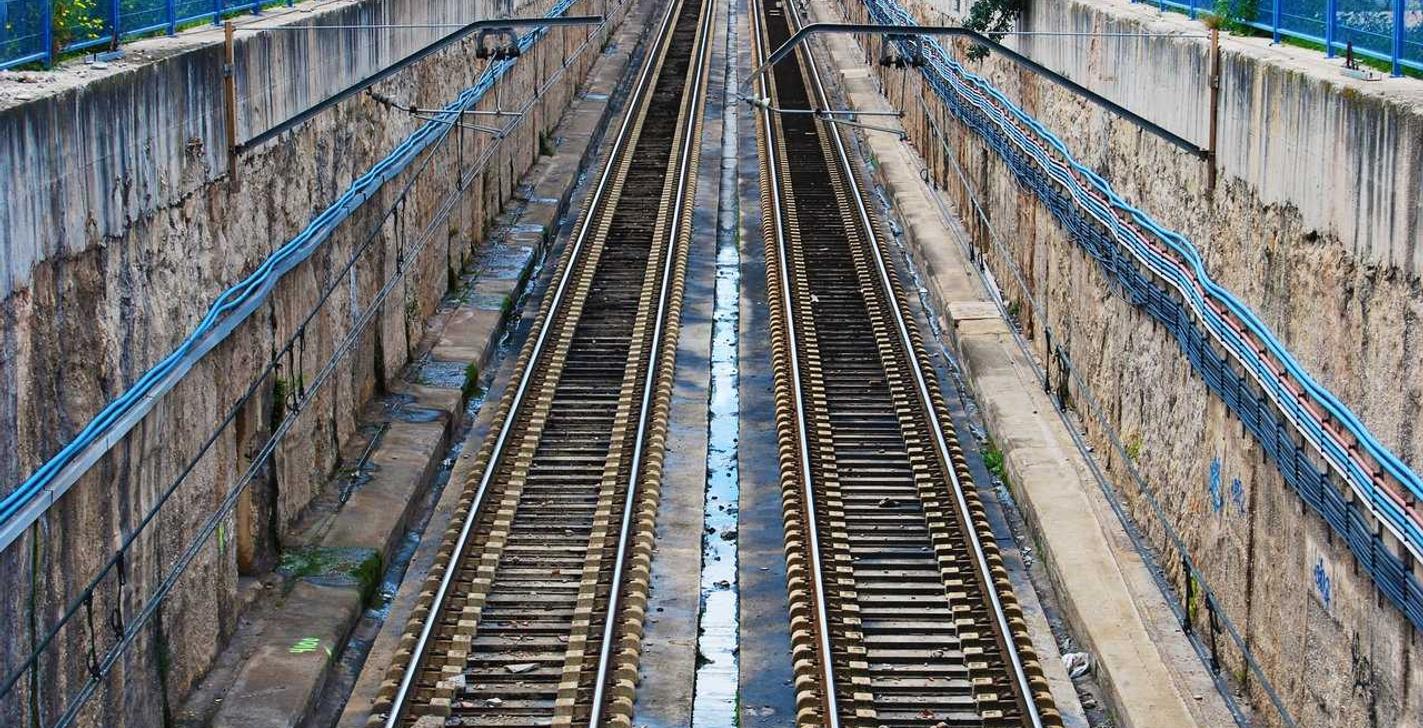 咖啡黄沉香(细):继续教育网注册账号