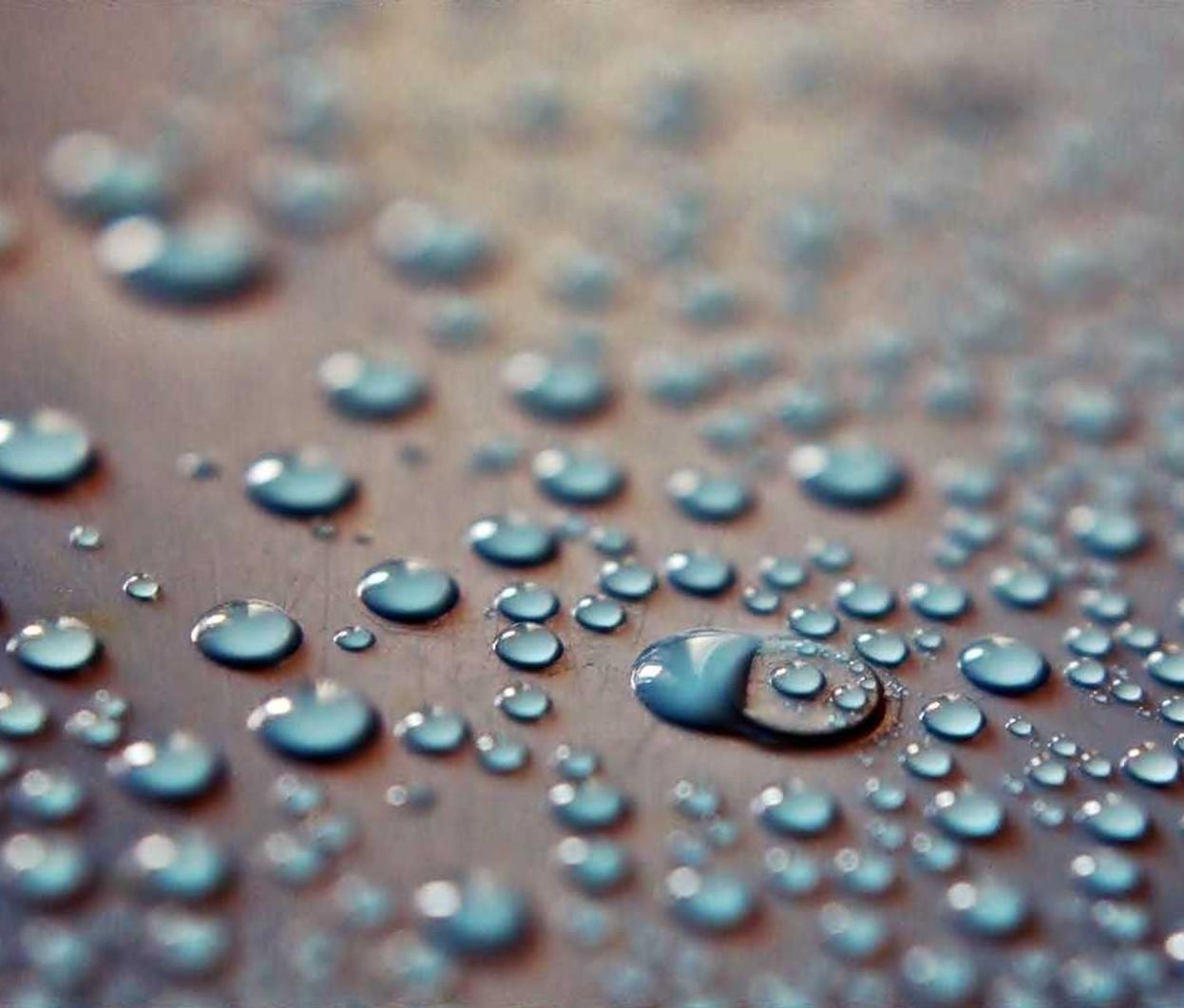 世纪佳缘实名账号：购买订单查询平台