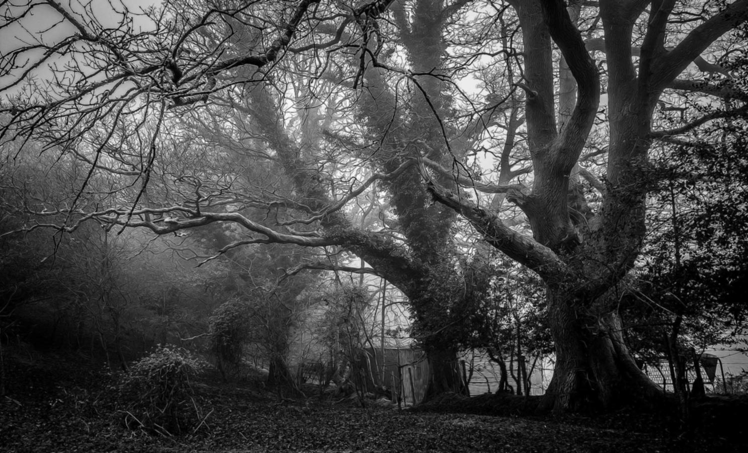 天九宝鸡蔬菜购买平台