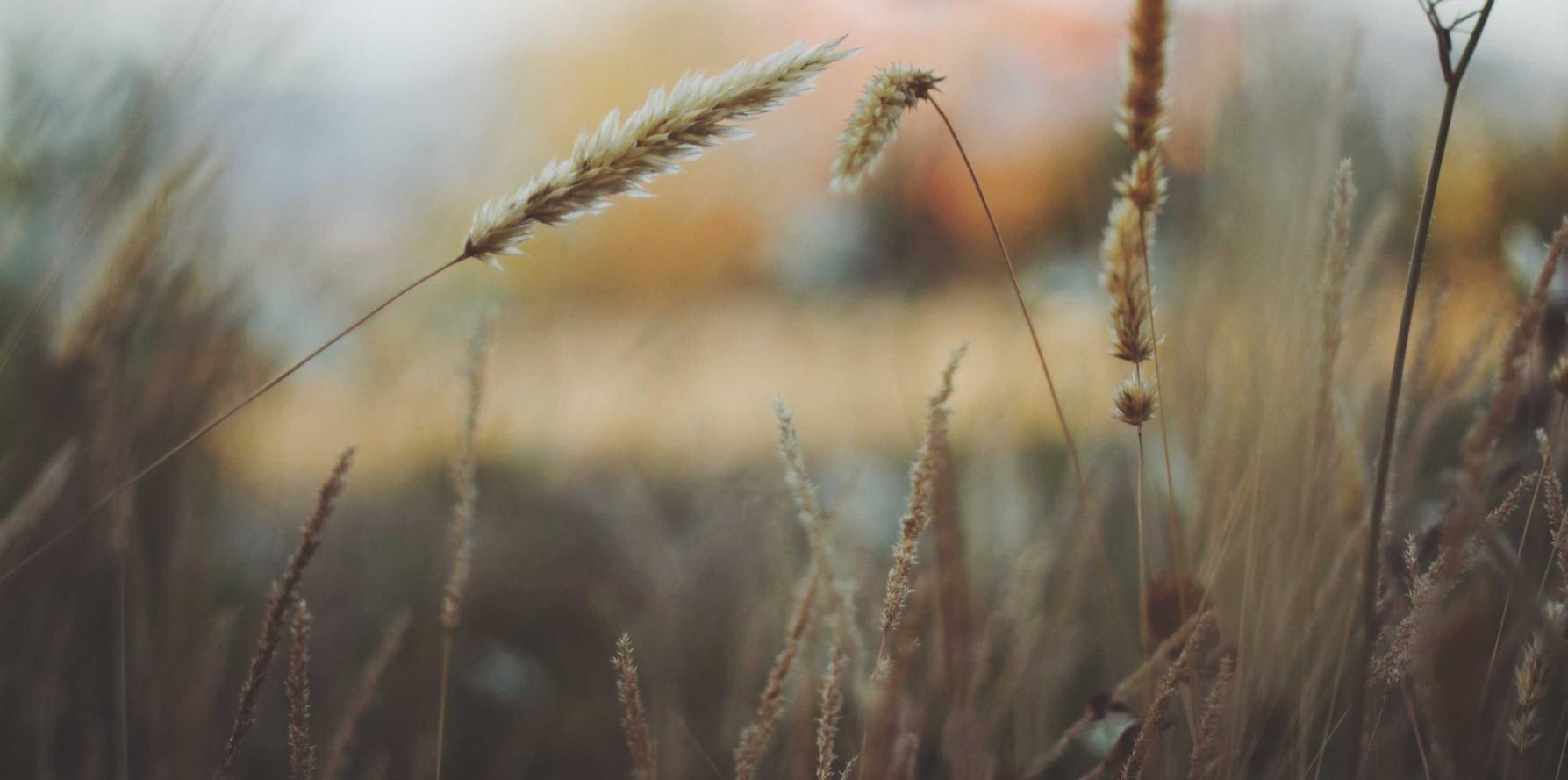 月租实名三网卡- 随手项目规划代理平台