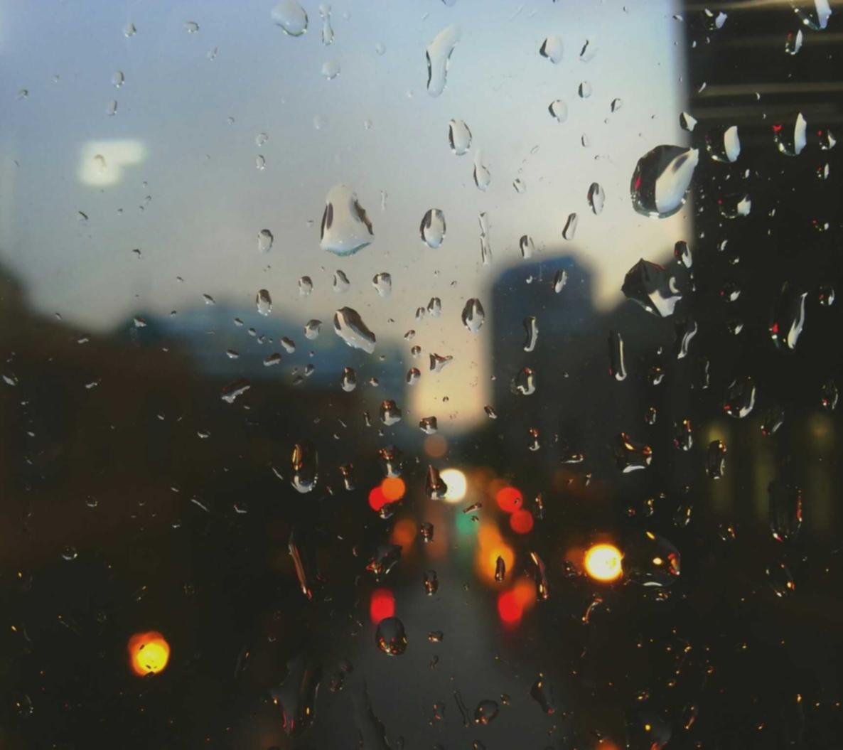 衡天云实名账号:江西书画交易平台代理加盟