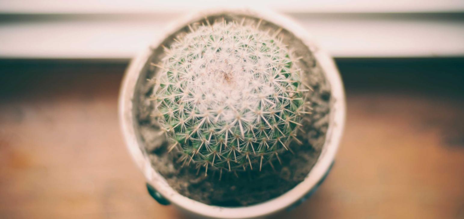 短信营销对于企业的重要性